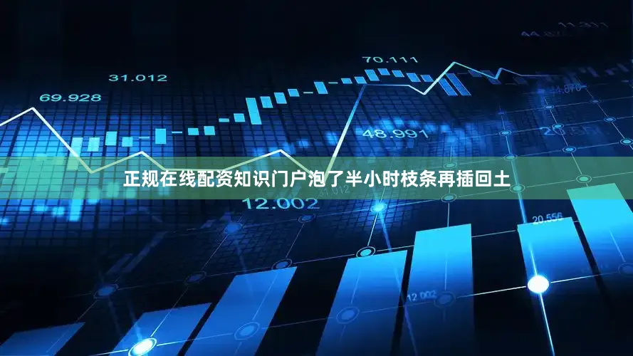 正规在线配资知识门户泡了半小时枝条再插回土